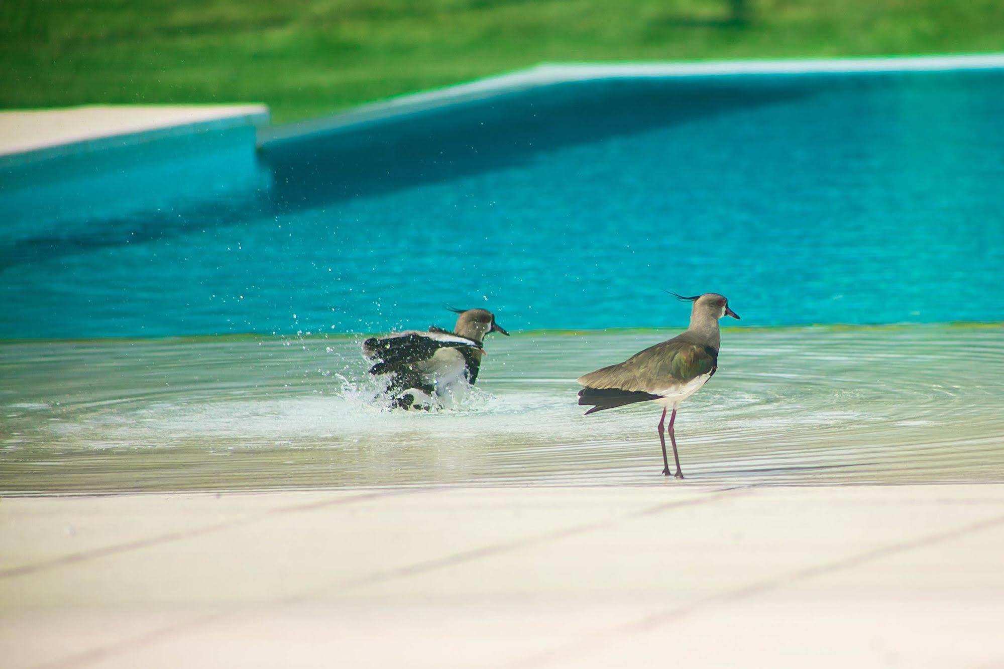 Amerian Villa Maria Park Hotel מראה חיצוני תמונה
